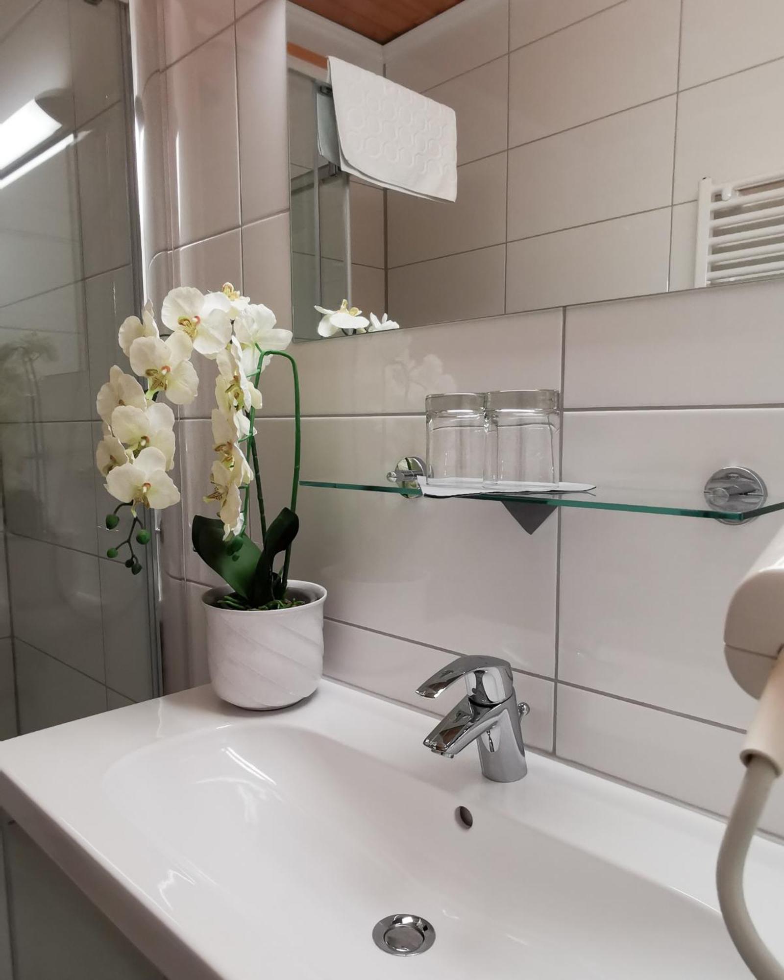 Hotel Am Greiner ルスト エクステリア 写真